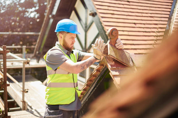 Best Roof Gutter Cleaning  in Guntersville, AL